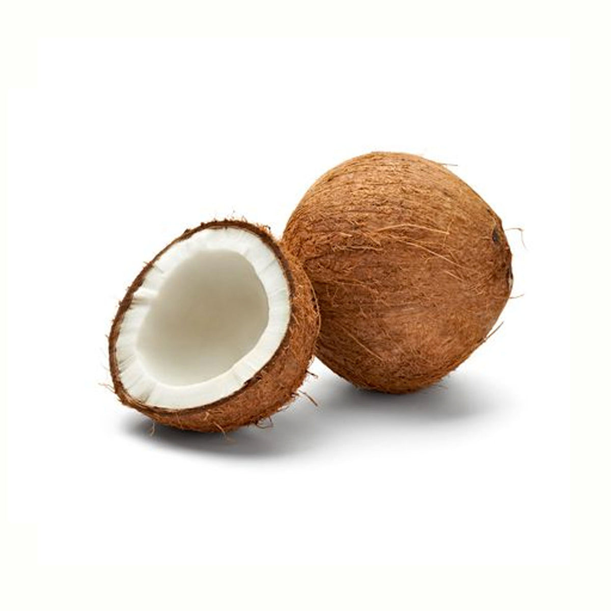 Coconut_1200x1200.jpg?v=1596083497