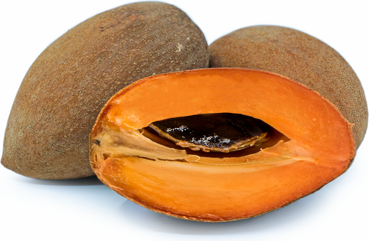 Sapote mamey - Fruit exotique tropical (LB)