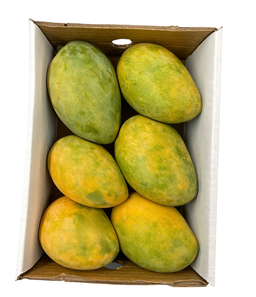 Mangue Mingolo - République Dominicaine