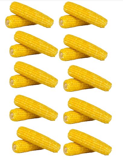 12 maïs du Québec – 4 $