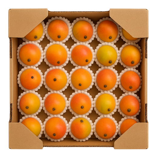 Bébé Mangue Sucré - 2kg
