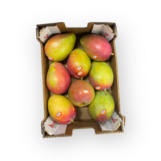 Kent Mango - Box of 6-10 Units