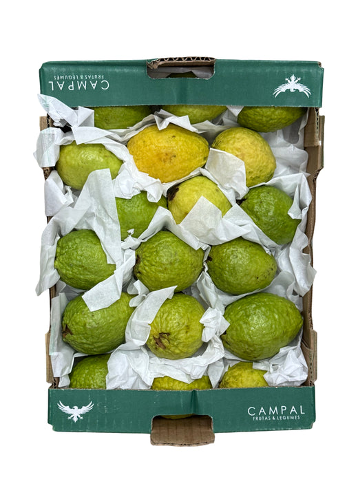 Boîte de goyaves roses – 2,5 kg
