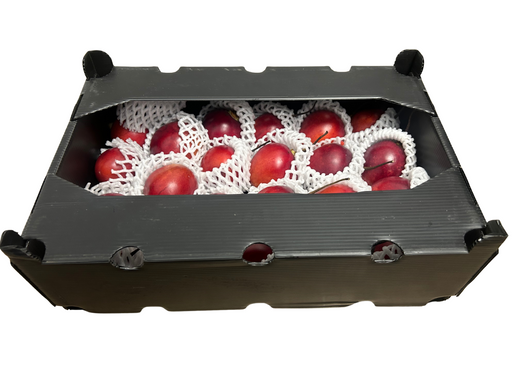 Caisse de tamarillo