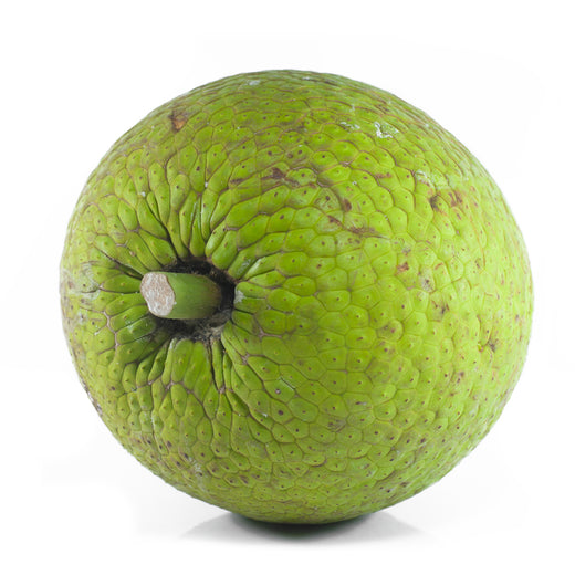 Fruit à Pain / BreadFruit