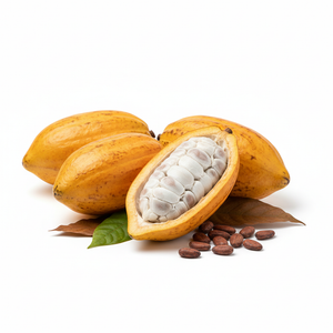 Cacao en fruit entier frais de Colombie