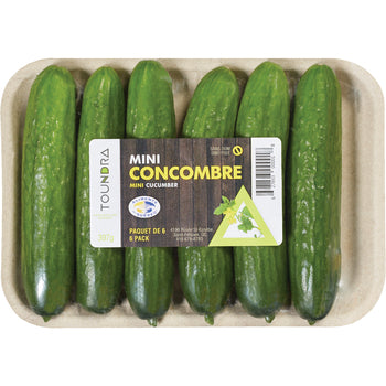 Concombres Libanais – Paquet