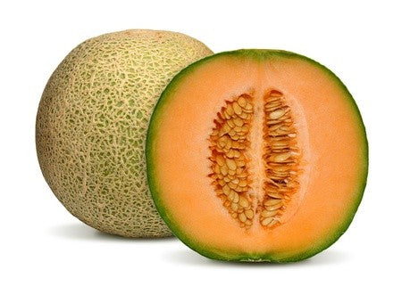 Cantaloupe – Melon frais